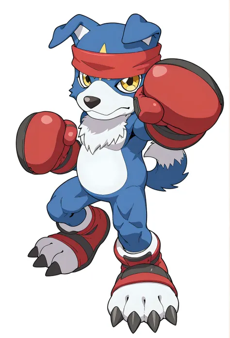 gaomon, digimon (creature), dog boy, blue body, furry, dog, blue fur, yellow eyes, headband, high quality, male, solo, white background, no background, looking at viewer, full body, standing, wearing boxing gloves, boxing pose, gloves up, muscular, shoes w...
