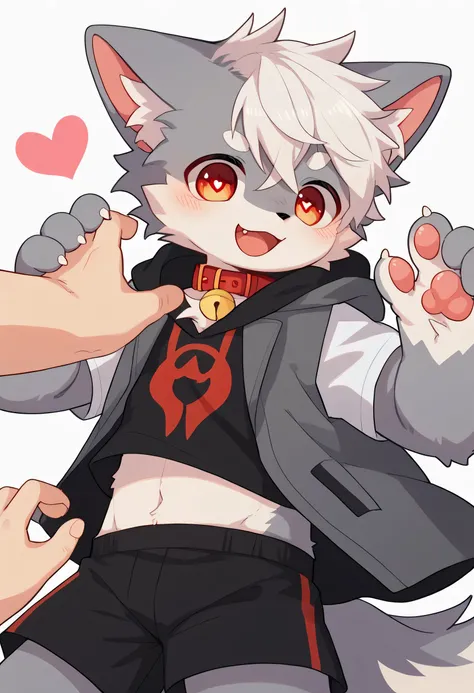    very detailed bustな,   very detailed bust,  white hair with gray coat  ,Age 15,male,   excited to see bones  ,  wolf fur,  excited,Participation,   cute face ,   something furry  ,Horny maleの子, red collar on the floor,Cute ears ,Fluffy ears ,Fluffy ears...