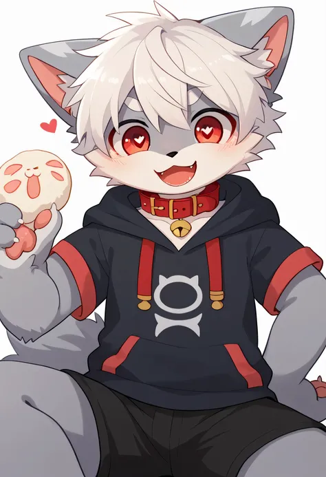    very detailed bustな,   very detailed bust,  white hair with gray coat  ,Age 15,male,   excited to see bones  ,  wolf fur,  excited,Participation,   cute face ,   something furry  ,Horny maleの子, red collar on the floor,Cute ears ,Fluffy ears ,Fluffy ears...