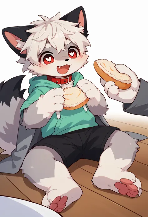    very detailed bustな,   very detailed bust,  white hair with gray coat  ,Age 15,male,   excited to see bones  ,  wolf fur,  excited,Participation, cute face , something furry  ,Horny girl, red collar on the floor,cute,Hairy boy eating Japanese food,Fluff...