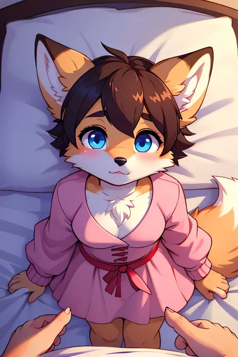 Furry raposa, furry, golden fur, white belly, Cub, , small breasted,  big jacket, pink dress, blue eyes,  fox ears, brown and short hair, POV from above, bed, blushed