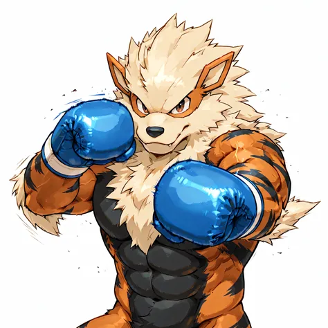 zzArcanine, arcanine, anthro, high quality, male, solo, white background, no background, pov_boxing, blue boxing gloves, punching, boxing, training, exercising, outstretched arm, thick arms, muscular, 