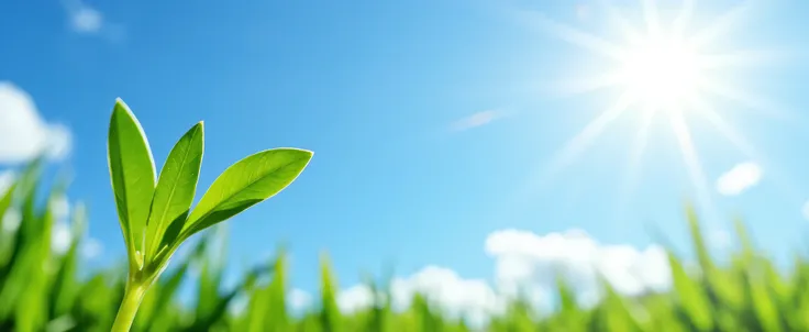 This image is a vibrant and optimistic representation of new growth and the power of nature. Let's analyze it:

Image Description:

The photograph features a close-up of a young, vibrant green sprout or new growth against a bright, sunny sky. The sprout is...