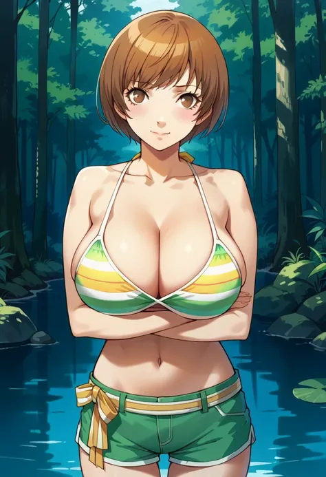 score_9, score_8_up, source_anime
1 girl, solo, cute face,
p4chie, satonaka chie, short hair, brown hair,
p4chie-swim, swimsuit, bikini top only, striped bikini top, shorts, green shorts, ribbon belt, yellow belt, midriff, thighs,
outdoors, forest, river, ...