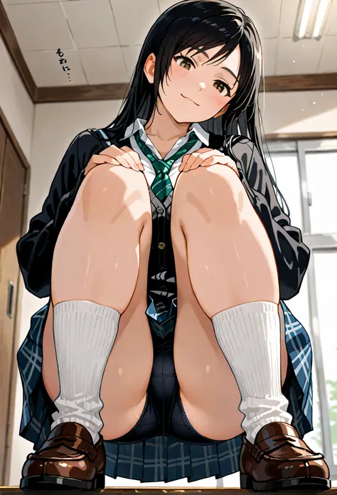 BREAK score_9, score_8_up, score_7_up, best quality, masterpiece, kokoro (doa), school uniform, Black hair, long hair, white blouse, black cardigan, green ribbon tie, Monochrome plaid skirt, knee-length checked skirt, socks, loafers, light smile, looking d...