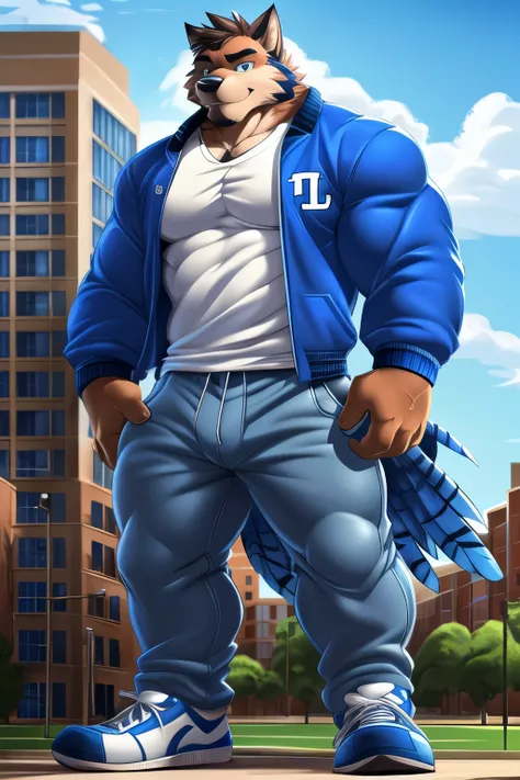 Scribble blue jay face, anthro bird(blue jay), athletic, (slim body), (black eyebrows), (perfect eyes), blue feathers, wings, (artist:takemoto arashi), (jock), standing, Sneakers, (Black beard), (Civil, College jacket, t-shirt, pants) blue jay((Macro, Emph...