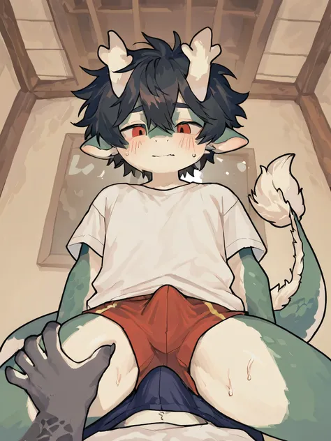  source_ furry, hadrian , furry male， elementary school students，((boy   )),  dragon boy ，Dragon Horn，Dragon Tail，short hair,masterpiece, newest,absurdres, incredibly absurdres, messy hair, cute anthro, Alone，white shirt， A boy  knelt beside the boy , grab...