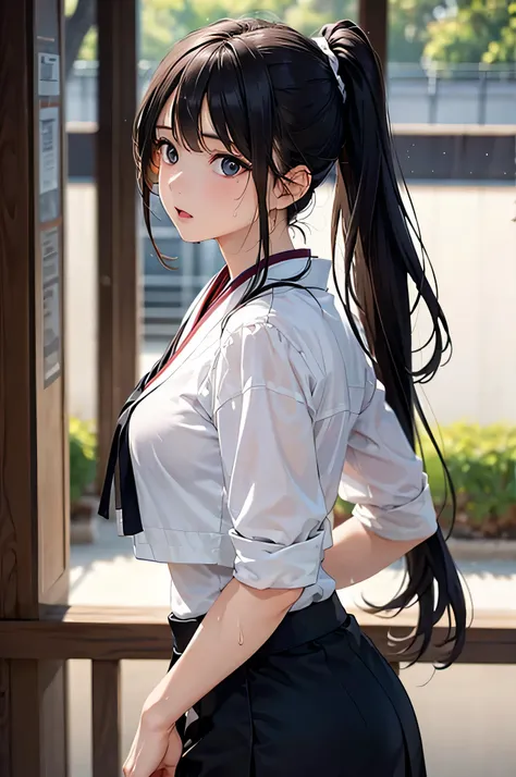  8k resolution,((top quality)),super high resolution, Adult Female, alone,  sexy, (expressionless), (black eyes), beautiful symmetrical face, (long black ponytail hair),Japanese martial arts uniform,black long skirt,realistic:1.4,realistic:1.4,(masterpiece...