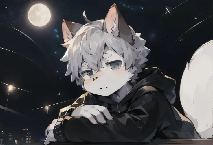 (Starry_Sky, moon, new moon_moon, night_Sky, night, shooting_Star, Sky, galaxy, Starry_Sky_Print),  male_Key Points,broken black square,furry,  1 boy ,alone,  ( detailed_background,Amazing_background),Milk fur,  hamster boy,  milk hoodie, Big Tail,(Multi-t...