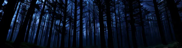 Dark forest at night, no humans, no moon, dark sky