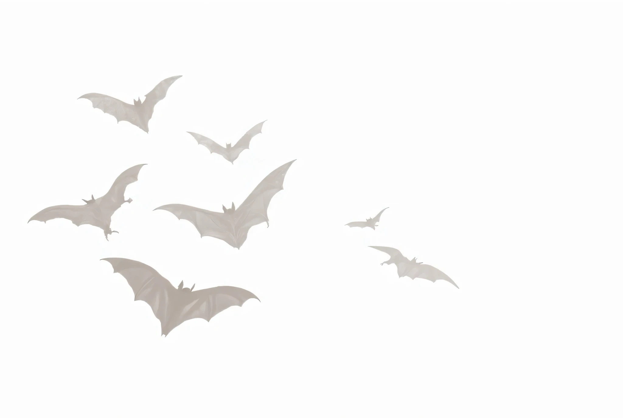 Outlines of bats on a white background 