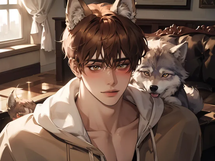 (male), ((solo)), white_skin ,muscular, tall, ((light brown hair)), (brown eyes), (blunt bangs), ((wolf ears)), ((wolf tail)), illustration, ((adult)), hoodie, good quality, (absurdres), (highres), (ultra detailed), (Masterpiece), (best quality:1.2), (blus...