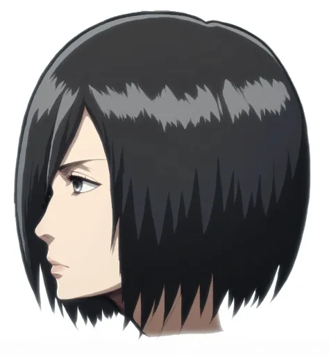 (((mikasa ackerman))), head, side view, detailed hair, dark gray eye, nose, nostril, mouth, mikasa ackerman mouth, neck, high quality, neutral expression, relaxed face, (detailed body), ((Attack on Titan style)),