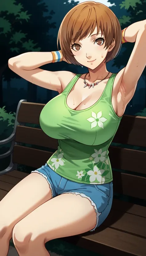 score_9, score_8_up, source_anime
1 girl, solo, cute face,
p4chie, satonaka chie, short hair, brown hair,
p4chie-sumcas, jewelry, necklace, tank top, green tank top, floral print, bare shoulders, collarbone, wristbands, multicolor wristbands, short shorts,...
