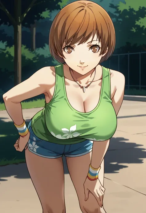 score_9, score_8_up, source_anime
1 girl, solo, cute face,
p4chie, satonaka chie, short hair, brown hair,
p4chie-sumcas, jewelry, necklace, tank top, green tank top, floral print, bare shoulders, collarbone, wristbands, multicolor wristbands, short shorts,...