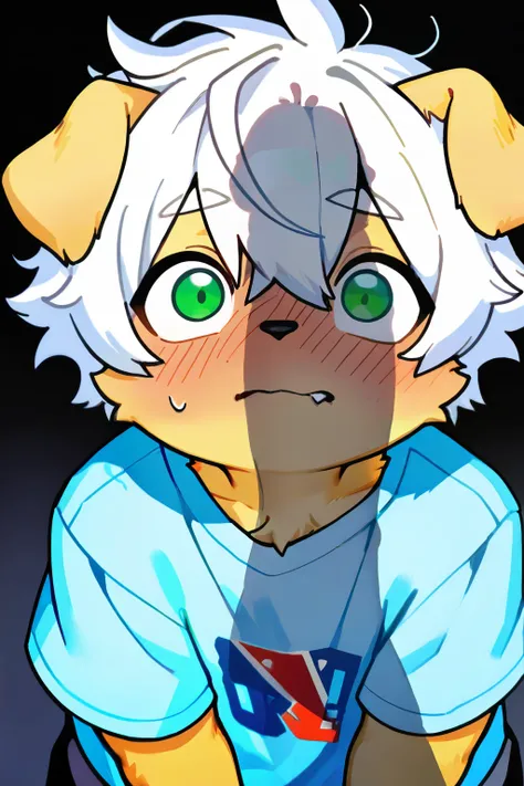  source_ furry, hadrian , furry male， elementary school students，Cubs，((boy  )),  dog boy，,(penis Shadow:1.3)，short hair ，fang out，,masterpiece, newest,absurdres, incredibly absurdres, messy hair, cute anthro, solo，score_9, score_8_up, score_7_, score_6_up...