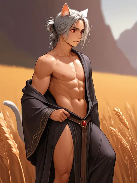 masterpiece, 1 male, Age 15,fantasy, neutral, looking here, hips are constricted, toned body, above the knee, wheat-colored skin, Silver Hair, Tied up hair, red eyes, Cat ears, Cat tail, Wizard's Robe