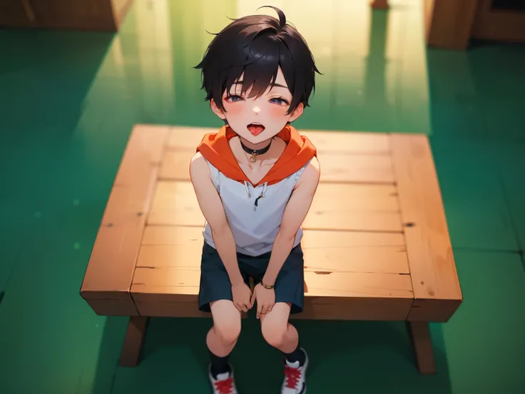super high res, (masterpiece), superb quality, super high quality, high quality, very high detail, 1boy, alone, young boy, short straight hair, side hair, (shota), (half closed eyes), (highly detailed eyes), velvet choker, (collarbone), sleeveless hoodie, ...