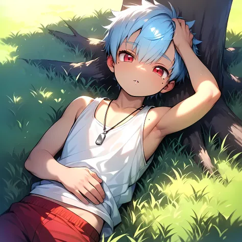 (score_9, score_8_up), (perfect face), (detailed face:1.3), (detailed eyes:1.3), cute eyes, shiny eyes, (masterpiece eyes), (cute face:1.2), (1 boy:1.5), (shota:1.5), (sleeping on grass:1.3), (arched back), (one hand on head:1.2), BREAK (white tank top), (...