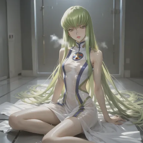 nsfw、photorealistic、REAL HUMAN SKIN、sCore_9, sCore_8_up, sCore_7_up, sourCe_anime, break ((C.C. Code Geass]))   long green hair ,heavy breathing, all men, slender body,  woman sitting on floor , Cover Yourself ,masterpieCe, Best Quality, Amazing Picture Qu...