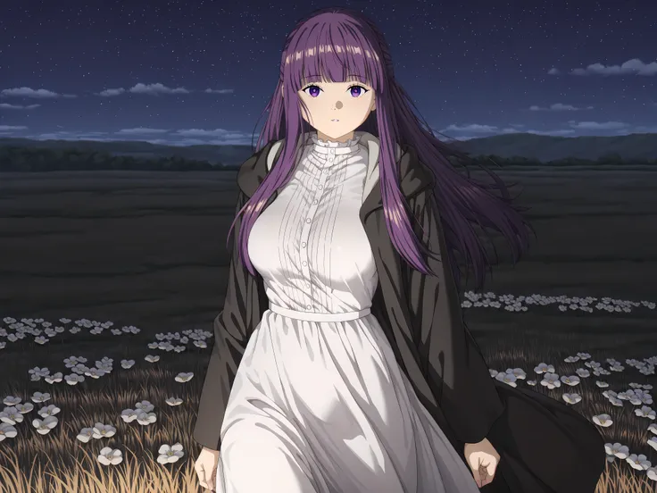 solo, female focus, 1 girl - Fern from Frieren, ong hair, bangs, purple eyes, purple hair, sidelocks, blunt bangs, bright pupils, half updo, large breasts, anime screencap
long sleeves, dress, white dress, long dress, robe, black robe, night sky, night tim...