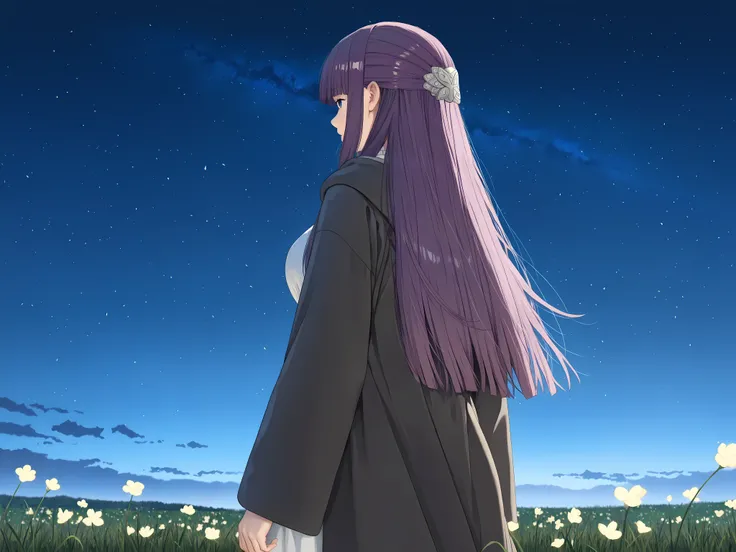 solo, female focus, facing away, back view, 1 girl - Fern from Frieren, long hair, purple hair, sidelocks, half updo,
long sleeves, dress, white dress, long dress, robe, black robe, night sky, night time, outdoors, grass field, white flowers, high detailed...