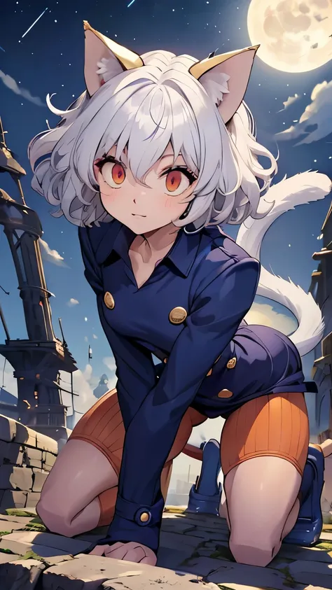 silver hair,  Short and Curly , Cat ears, red eyes, Large pupils,  strong eyes , double eyelid, fine eyebrows, long eyelashes, small nose,  small mouth,((:3)), Sharp jaw, blue military style coat, Six gold buttons, orange striped short shorts, High Collar,...