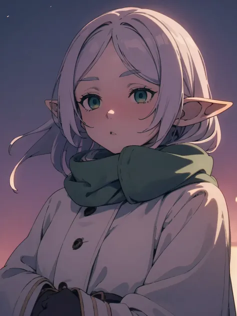 solo, 1 girl, high quality, perfect face, green eyes, (frieren), winter background, winter clothes, elf ears, (serious expression), night background, cold and empty eyes