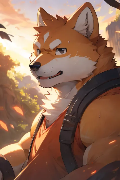 male,25 years old, ((Round Face, Full face ,black eyes, )), ((Endocrine, handsome,Hot Blood)), (), ((domestic 狗,Shiba Inu,) furry fur, furry), Outside, (high quality, high resolution, masterpiece), ( dynamic lighting, bright colors), (), full body photo...