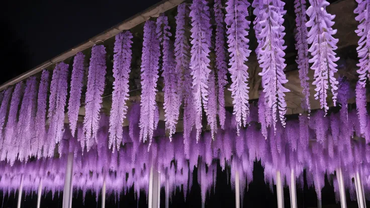wisteria flower Night light up 16:9 Make it an image 2048 x 1144px