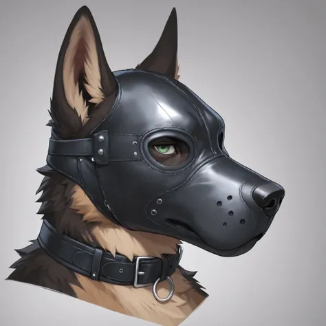 Furry, 1boy, highly detailed, breathtaking, male only, 18+, headshot, pup mask, german shepherd, white background, looking at viewer, leather collar