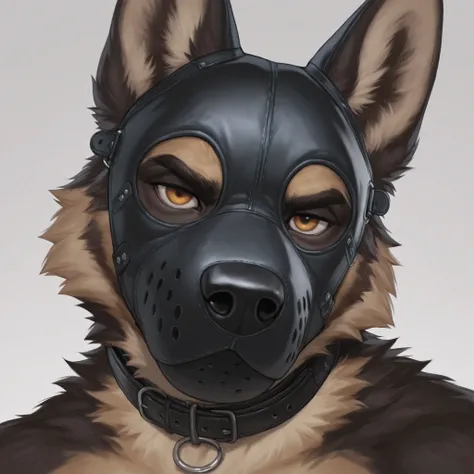 Furry, 1boy, highly detailed, breathtaking, male only, 18+, headshot, pup mask, german shepherd, white background, looking at viewer, leather collar