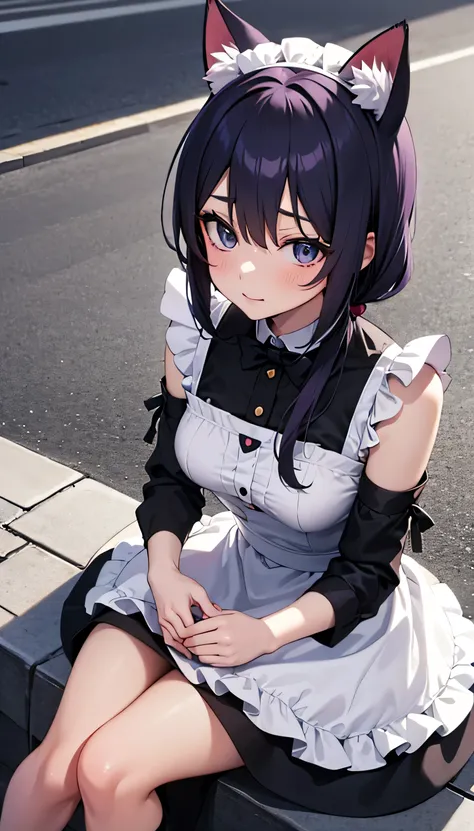 anime girl in a black and purple outfit sitting on a city street, attractive cat girl, beautiful anime catgirl, very beautiful anime cat girl, cute anime catgirl, anime catgirl, anime cat girl in a maid costume, cat girl, beautiful young catgirl, anime gir...