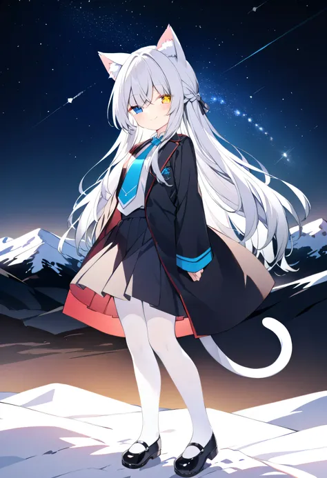 long hair,Silver Hair, girl,Cat ears,alone,Heterochromia(Left blue right yellow),Black Robes(red internal stain), blue tie,white stockings,snowy mountains,The Peak,night, bright starry sky,Smile, skirt,Tail,Black shoes