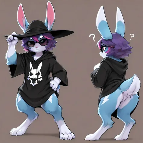 score_9, score_8_up, score_7_up, score_6_up, masterpiece, best quality, amazing quality, soft shading, solo, unisex, by kluclew, reference sheet, 2d, sketch, male_anthro, black with purple hair_dyed, Original, anthro, slender, KuroRabbi, rabbit, DTkr, blue...