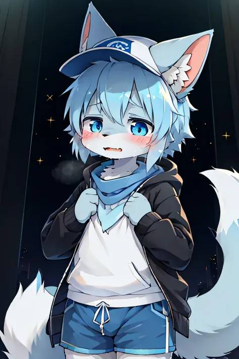 boy,青いfur,animalの耳,8K High Resolution,blue shorts, grey hoodie,hat,fur,blue neckerchief,Grey Dog Tail,Pretty Beast,animal,Kemono,I'm going to cry out loud,cries事が大好きな雄の青年, bet, boy,boy,cries, lots of light blue ,Sparkling Eye