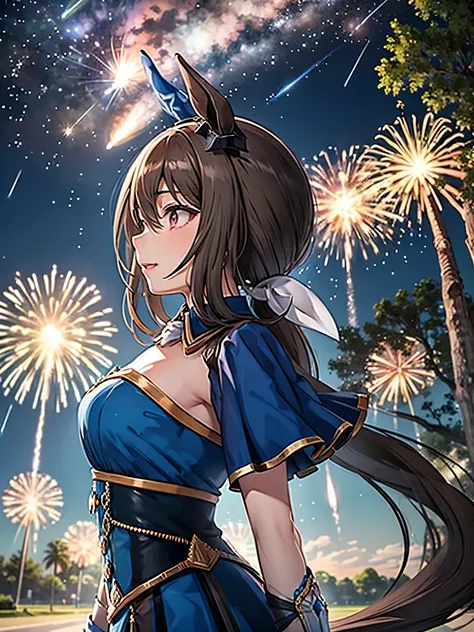 Meteor Shower,starry sky,starry skyを見上げる,profile,High Quality、Super Detail、 I'm very careful about every detail、 Perfect Anatomy、 perfect human structure、seven-neck body 、Attractive Eyes、Attractive Lips、Ruby Lip、 RAW Photo、Admire Vega,Uma Musume, longing f...