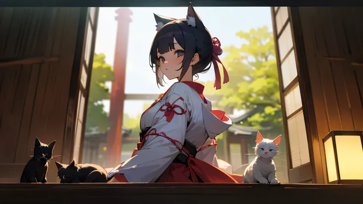 cat Beautiful Girls object Ikuru Japan