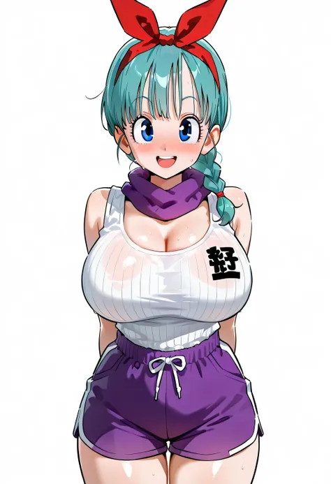 source_anime, score_9, score_8_up, score_7_up, anime screencap, BULMA, BULMA FROM DRAGON BALL, bulma \(dragonball\), 1girl, solo, smile, open mouth, blue eyes,, ribbon, aqua hair, braided ponytail, hair ribbon, braid, ,,,, single braid, bird,, purple scarf...