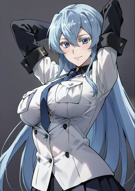 score_9, score_8_up, score_7_up, source_anime, 4K,perfect fingers,(perfect hands, perfect anatomy),prefect lighting, very aesthetic, intricate details,highly detailed background, masterpiece, high quality, best quality,
esdeath, blue eyes, blue hair, long ...