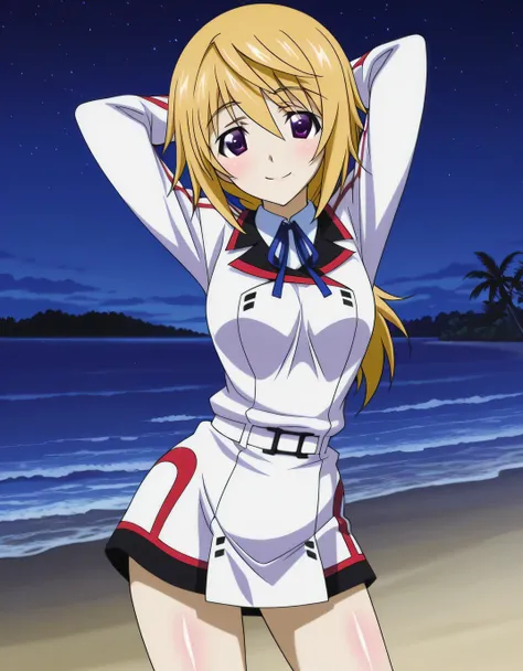charlotte dunois, infinite stratos, blonde hair, purple eyes, low ponytail,
infinite stratos academy school uniform, anime screencap, shiny skin, high quality, solo, night sky, beach, hands behind head, ((contrapposto)), closed mouth, cowboy shot, looking ...