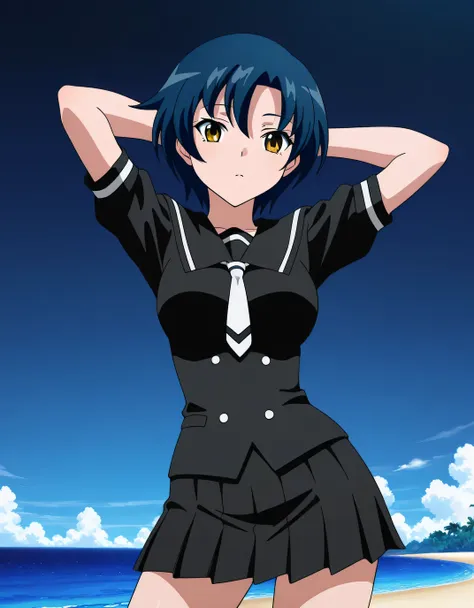 Agent Aika Zero Characters IL