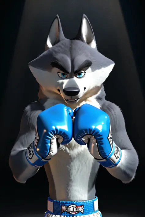 agentclassified, grey fur, wolf, blue eyes, thick eyebrows, cgi, solo, dark background, spotlight, high quality, detailed, half body, looking at viewer, boxing trunks, boxing gloves, big hands, pov_boxing, (glistening body, glistening fur), gloves up, fist...