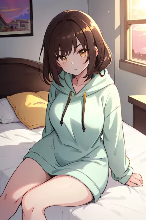 beautiful anime girl, shoulder-length slightly wavy dark brown hair, large hazel eyes, expressive face, defined eyebrows, golden light skin, curvy body (modest), wearing an oversized hoodie, sitting casually, warm sunset lighting, soft shadows, cozy room, ...