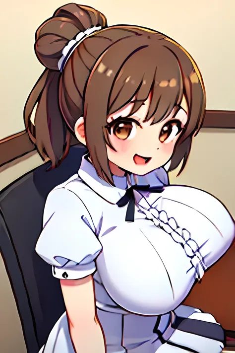 score_9_up,,score_8_up,score_7_up,score_6_up,score_5_up,score_4_up, 1 girl, satosasara, brown eyes, brown hair, single hair bun, (ponytail:1.2), long sideburns, long hair, frilled dress, white dress, white ribbon, short sleeves, puffy sleeves, puffy short ...