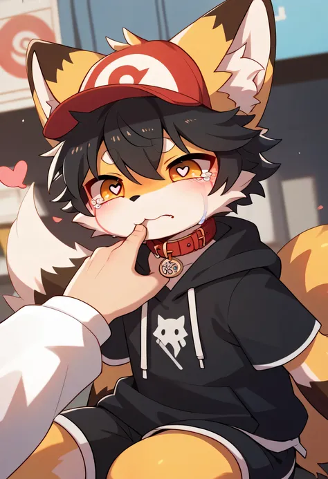very detailedな, very detailed,Fox fur,Dark Haired Fox,Exciting to see bones,Heart Eyes,participate, red collar, Let's play with the exciting、white、 colored hat ,sad face,cry a lot of crying,lots of tears,Take a picture with your hand,I'm going to cry out ...