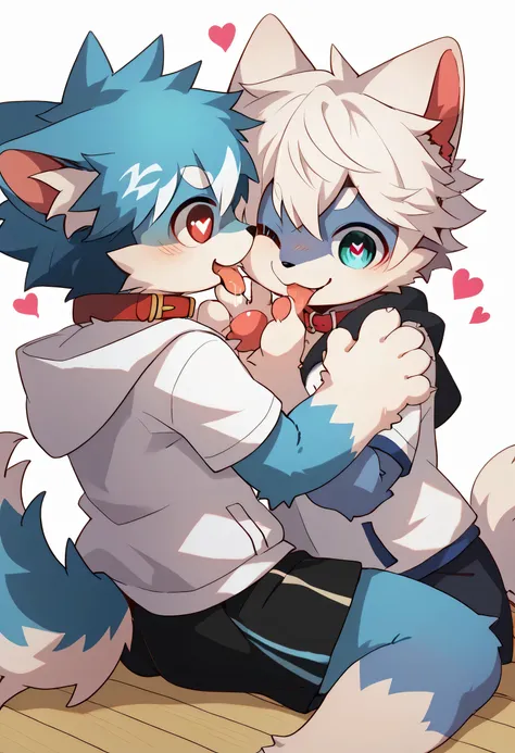   Very Detailedな,Very Detailed,White hair,blue fur ,, male,blue fur, EXCITING,Participation,cute face,,あなたの脚Show me ,,Horny  maleの子,dog tail,,red collar on the floor,Cute ears,Licking hands, grooming,fluffy ears,hoodie,shorts,fluffy ears,Show me,私に猫の手Show ...