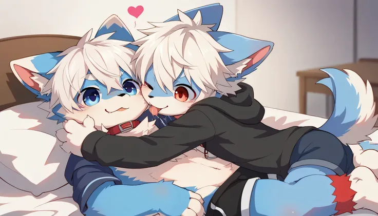   Very Detailedな,Very Detailed,White hair,濃いblue fur ,, male,blue fur, EXCITING,Participation,cute face,,あなたの脚Show me ,,Horny  maleの子,dog tail,,red collar on the floor,Cute ears,Licking hands, grooming,fluffy ears,hoodie,shorts,fluffy ears,Show me,私に猫の手Sho...