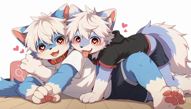   Very Detailedな,Very Detailed,White hair,濃いblue fur ,, male,blue fur, EXCITING,Participation,cute face,,あなたの脚Show me ,,Horny  maleの子,dog tail,,red collar on the floor,Cute ears,Licking hands, grooming,fluffy ears,short sleeve hoodie,shorts,in the evening！...