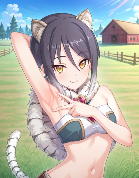 pcrshio, animal ears, animal ear fluff, black hair, gradient hair, yellow eyes, tiger tail, striped tail, pshiodef, fur-trimmed capelet, bare shoulders, two-tone bandeau, anime screencap, high quality, solo, sunsetting, farm, grass, <lora:spread-armpit-ill...